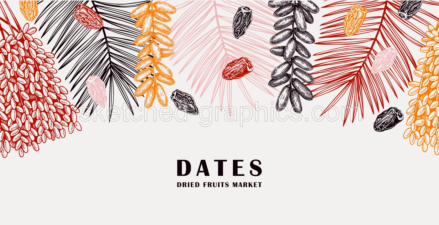 Sketched background with date palm leaves and dried fruit illustrations. Healthy food ingredients sketches in engraved style. Hand drawn oriental sweets vector border. Vintage ripe dates design Illustration